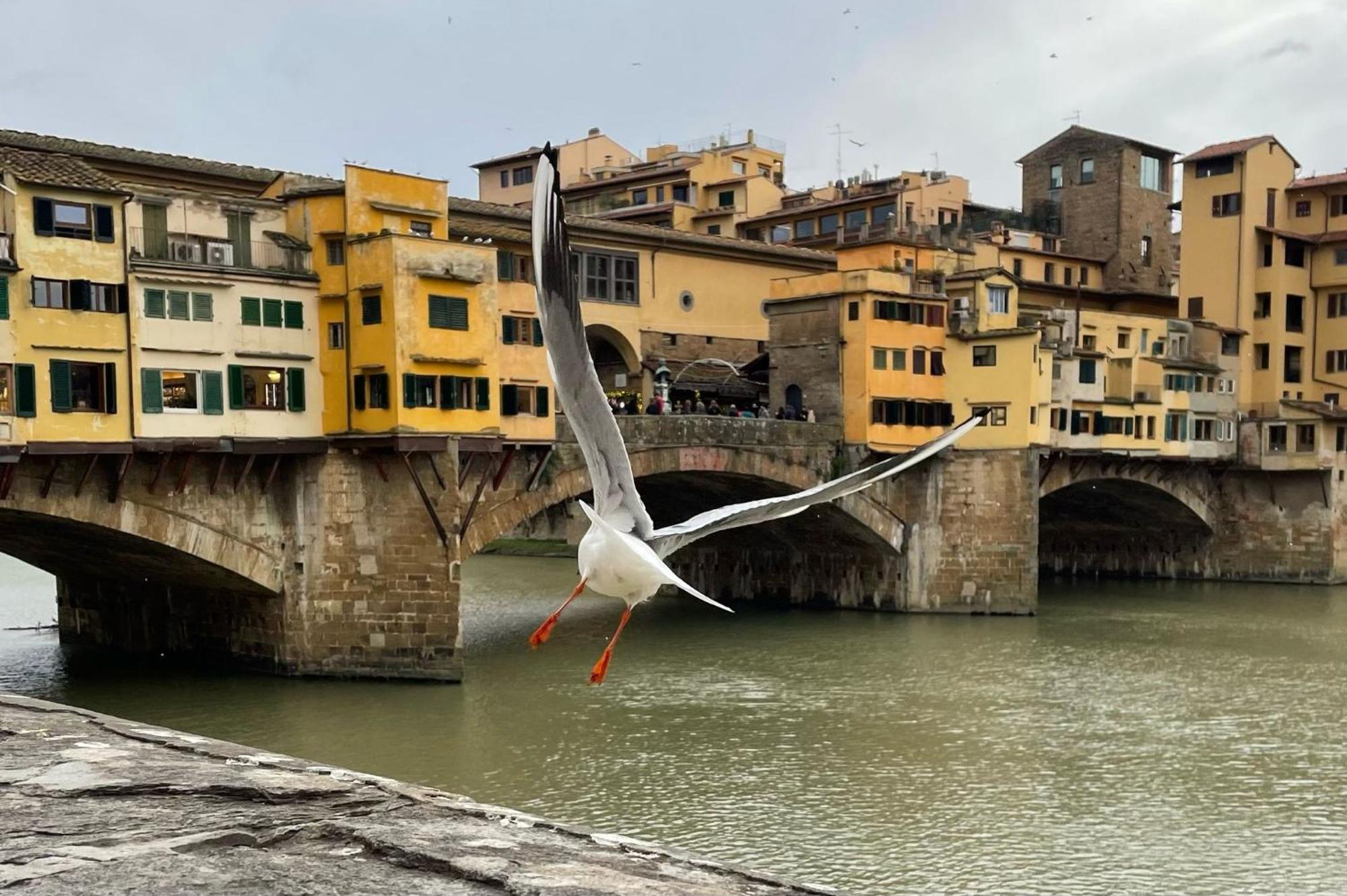 Modern Apartments In The Heart Of Florencia Exterior foto